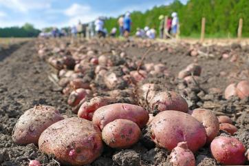 В России открылись вакансии в АПК с зарплатой до 250 тысяч рублей